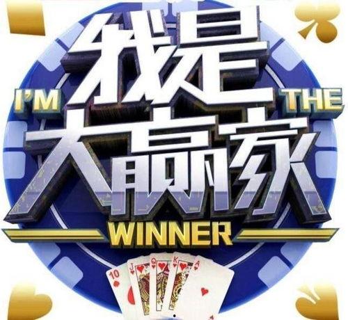 大赢家,揭秘商业奇迹背后的策略与智慧