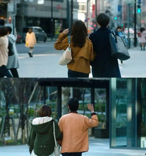 花束般的恋爱(日语),探寻爱情中的美好与真挚