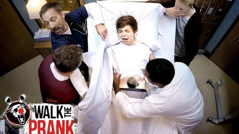 101忠狗街头日记 第一季,第一季：忠诚与冒险的街头传奇