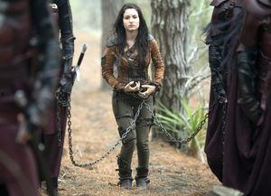 沙娜拉传奇 第二季,命运之轮的觉醒