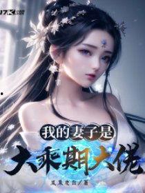 我的妻子是大乘期大佬,大乘期大佬的传奇人生